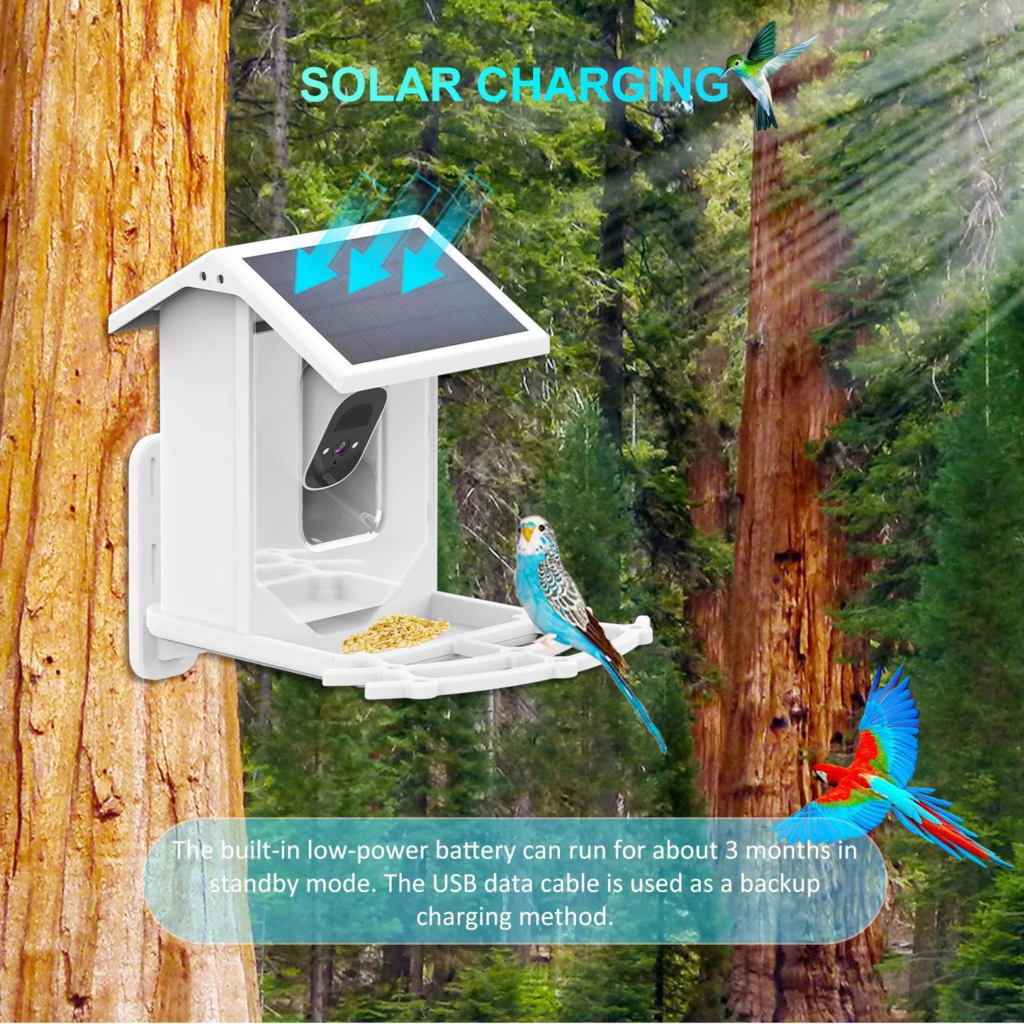 EcoSmart Feeder Cam