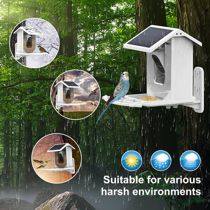 EcoSmart Feeder Cam