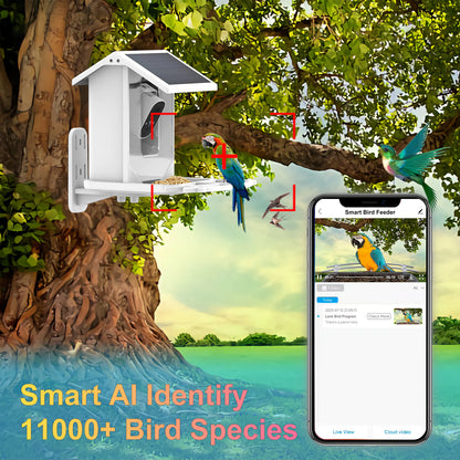 EcoSmart Feeder Cam